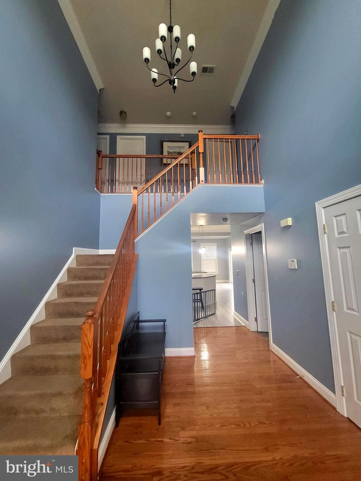 399 Rivanna Run Falling Waters, WV 25419 - Photo 6 of 62 Beautiful 2 Story Foyer!