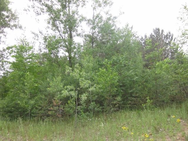 117 County Line Road Northeast Mancelona, MI 49659 - Photo 21 of 27 1787192-20.JPG