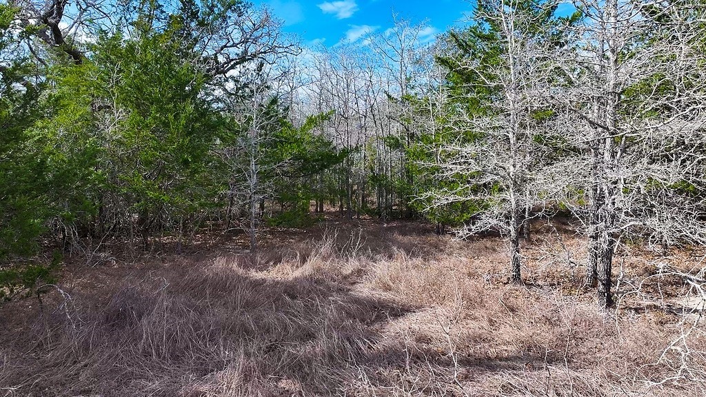 Tbd Wetjen Lane West Point, TX 78963 - Photo 11 of 24