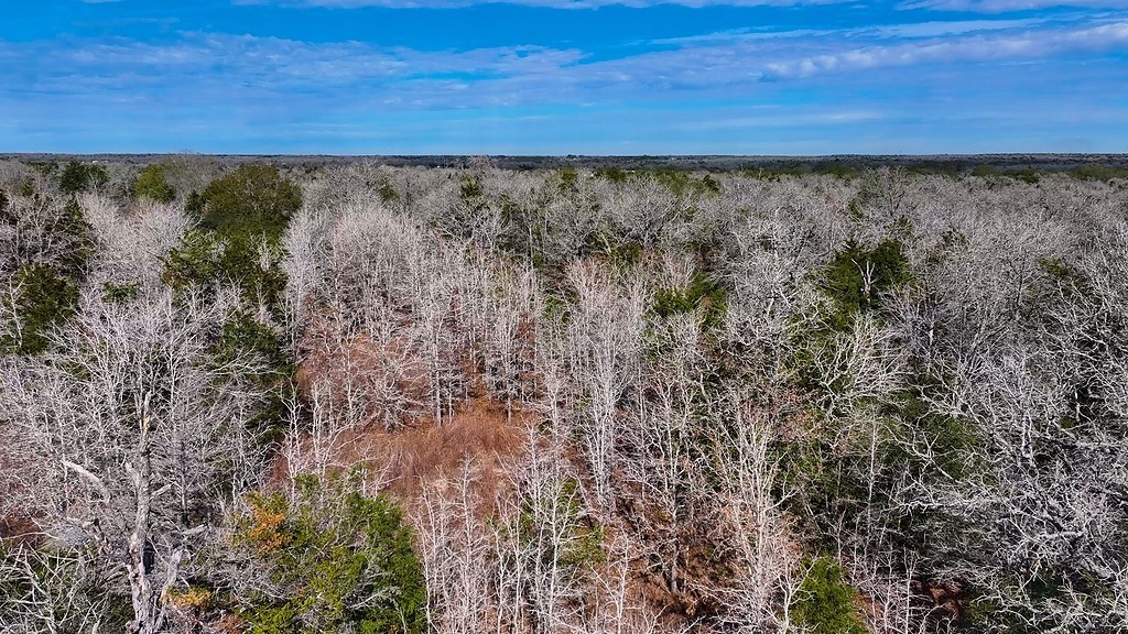 Tbd Wetjen Lane West Point, TX 78963 - Photo 13 of 24