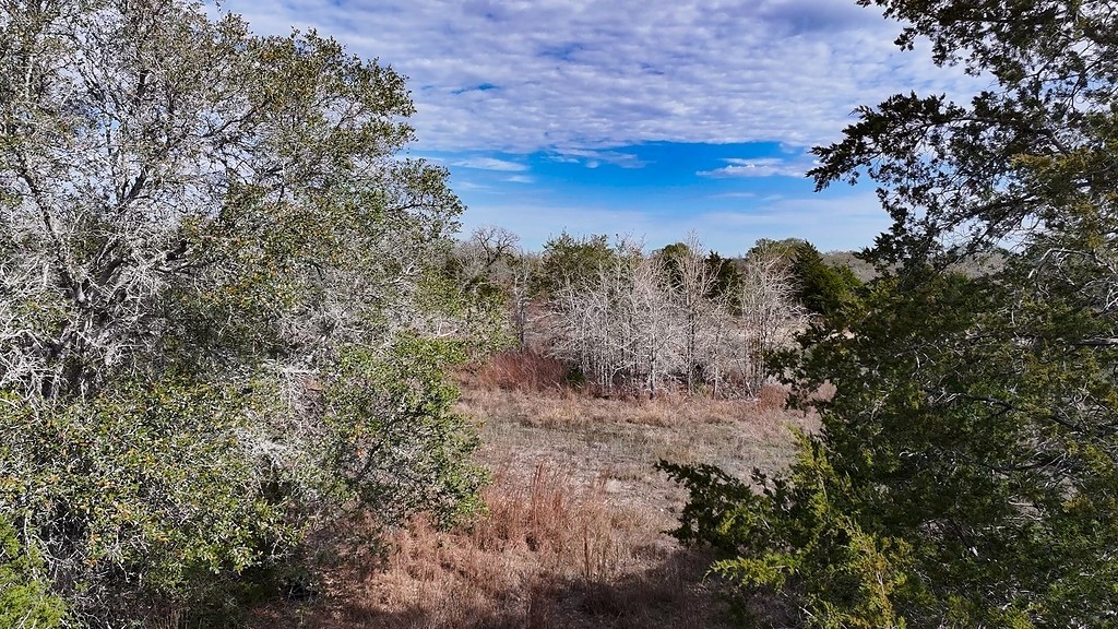 Tbd Wetjen Lane West Point, TX 78963 - Photo 14 of 24