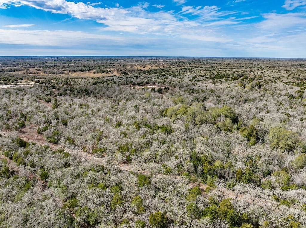 Tbd Wetjen Lane West Point, TX 78963 - Photo 17 of 24
