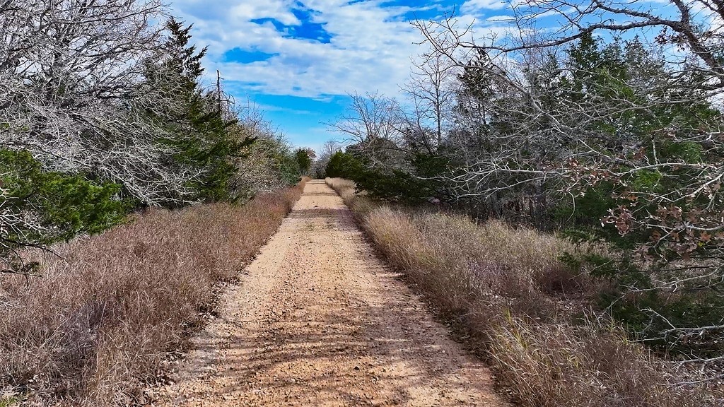 Tbd Wetjen Lane West Point, TX 78963 - Photo 18 of 24