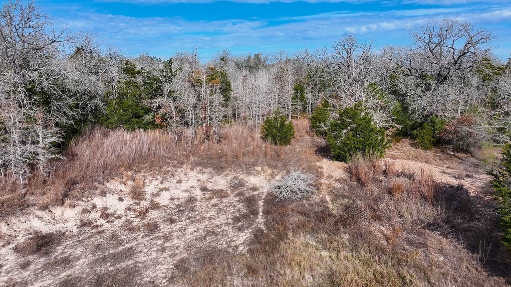 Tbd Wetjen Lane West Point, TX 78963 - Photo 19 of 24