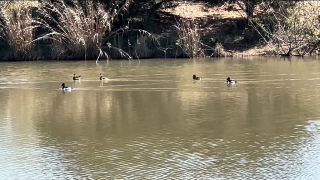 Tbd Wetjen Lane West Point, TX 78963 - Photo 2 of 24