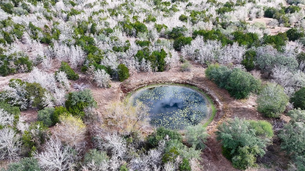 Tbd Wetjen Lane West Point, TX 78963 - Photo 22 of 24