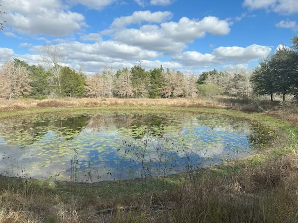Tbd Wetjen Lane West Point, TX 78963 - Photo 5 of 24