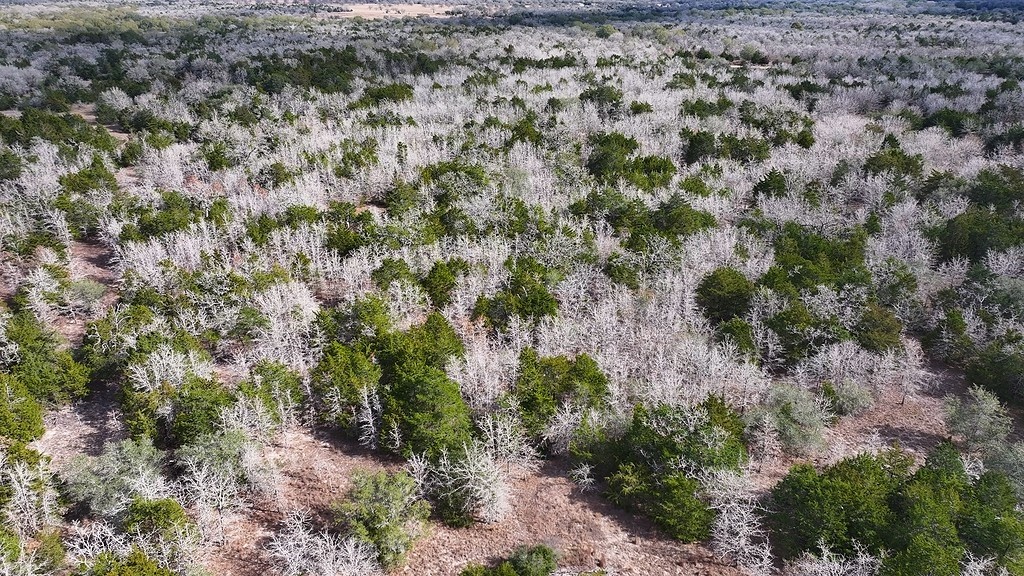 Tbd Wetjen Lane West Point, TX 78963 - Photo 8 of 24