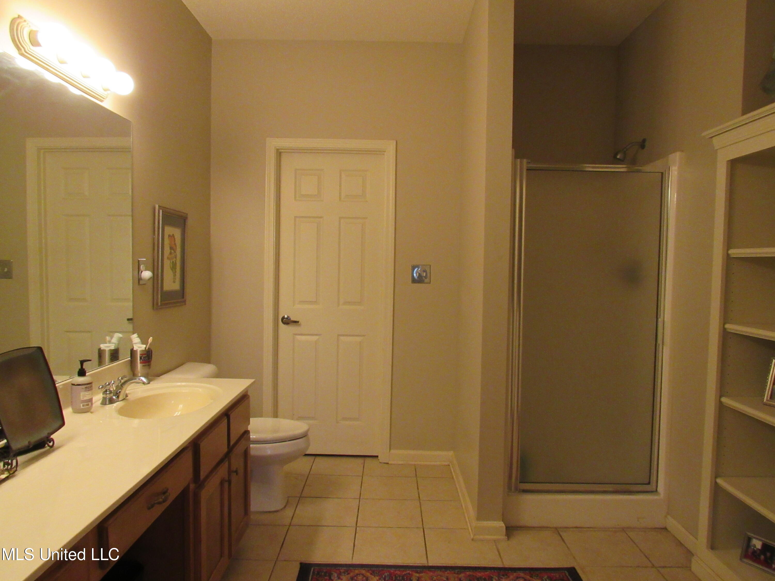 910 Cardinal Lane Hernando, MS 38632 - Photo 11 of 27 Master bathroom view 1