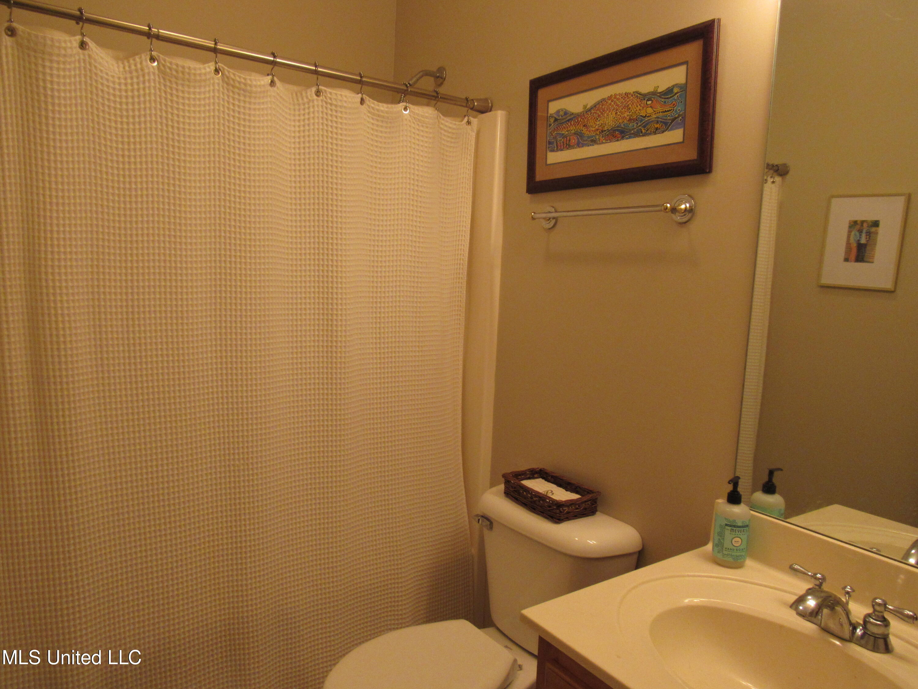 910 Cardinal Lane Hernando, MS 38632 - Photo 17 of 27 Guest bath view 1