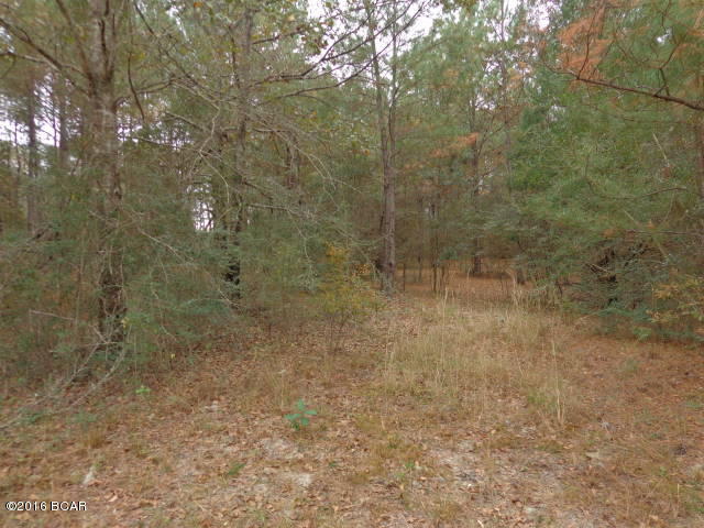 0 Charm Road Alford, FL 32420 - Photo 28 of 32