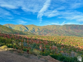 6909 East Spring Drive, Unit 19 Springville, UT 84663 - Photo 109 of 118 Expansive mountain scenery featuring rolling peaks and a diverse tree line