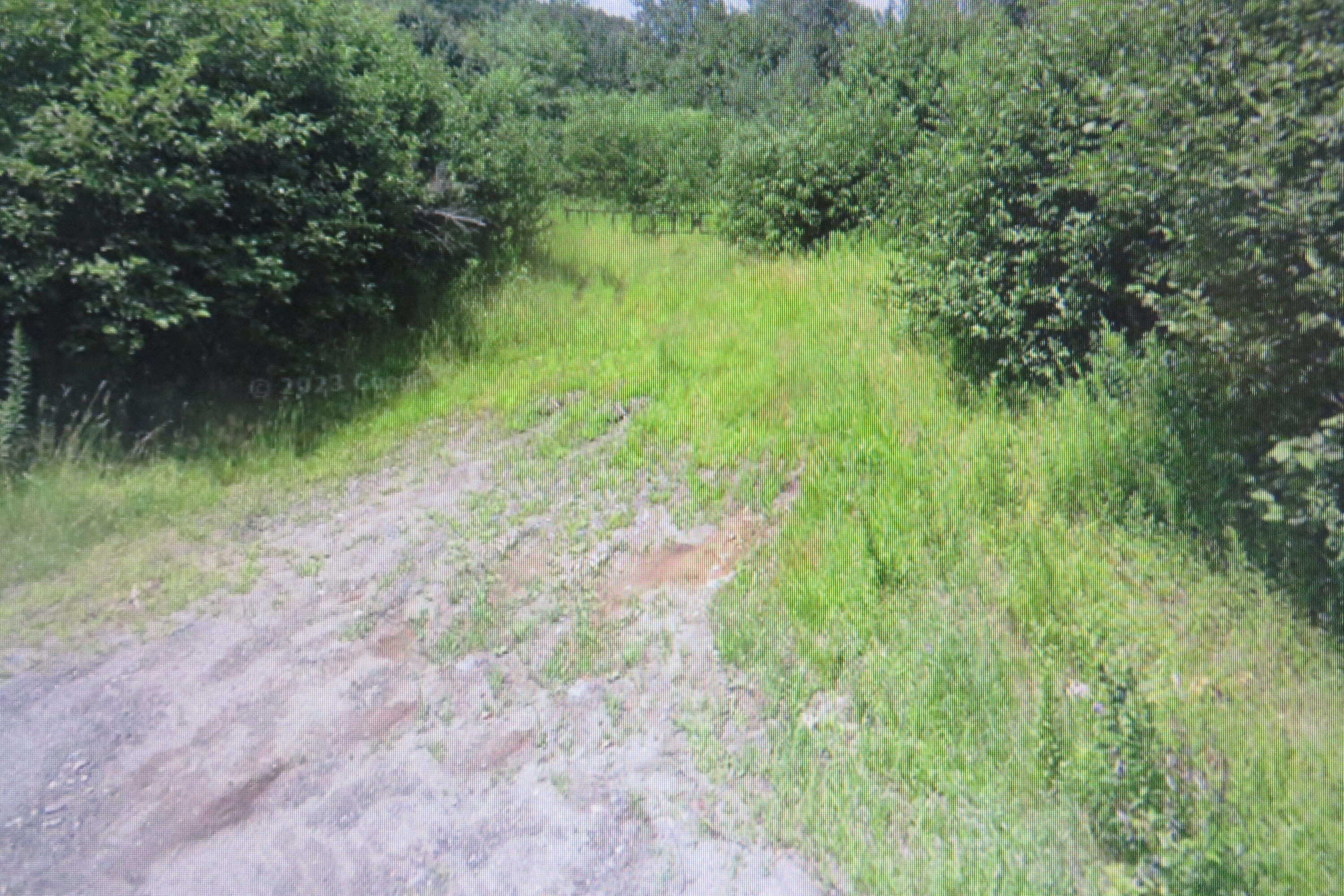 Map2-lot24 North Road Medford, ME 04463 - Photo 3 of 6 IMG_4985