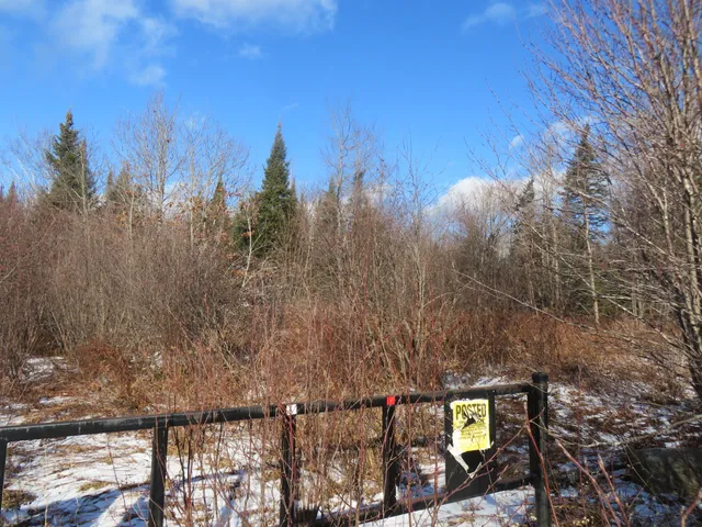 $165,000 | Map2-lot24 North Road, Medford, ME 04463