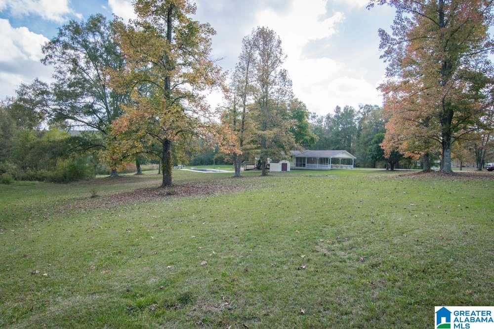 130 Sellers Road Ashville, AL 35953 - Photo 12 of 15