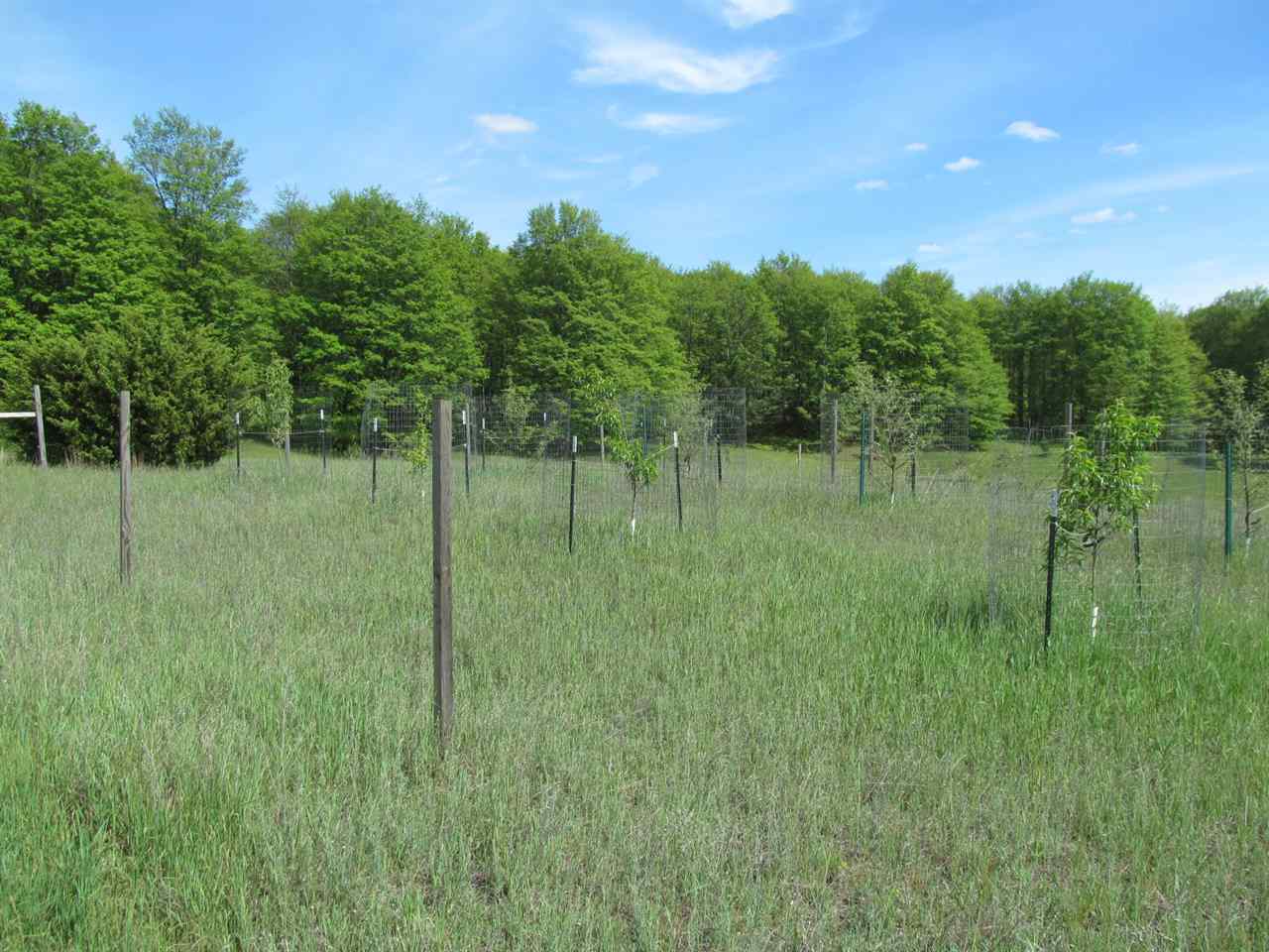 2318 North 29 Road Cadillac, MI 49601 - Photo 22 of 38 1848720-21.JPG