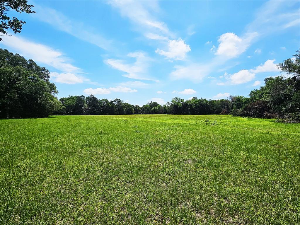 39 S South Groesbeck, TX 76642 - Photo 9 of 17