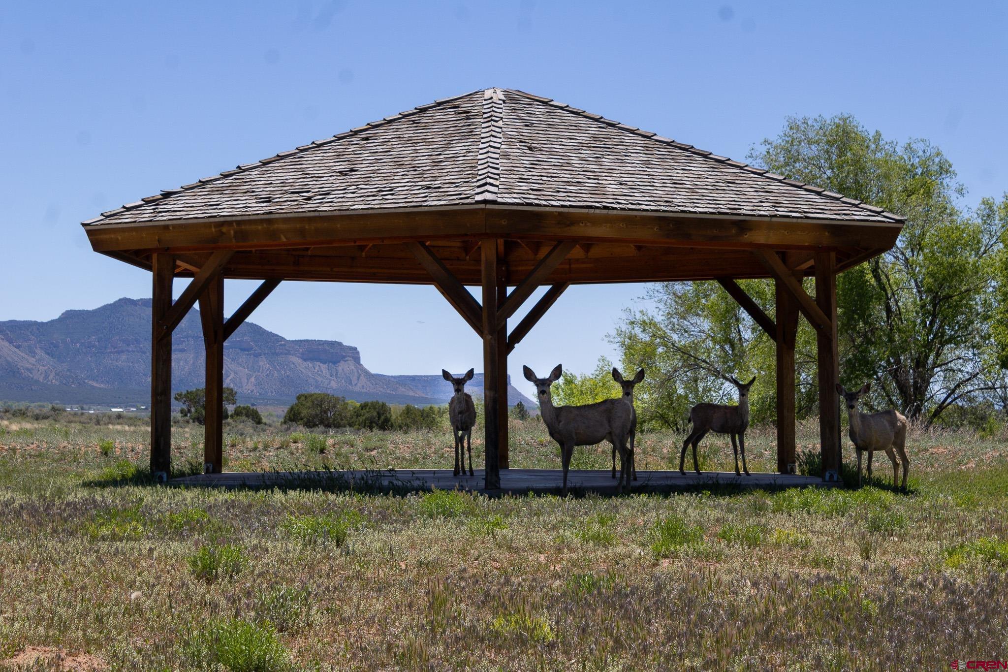 801 L Way Cortez, CO 81321 - Photo 2 of 41 a view of house with mountain view and sitting space