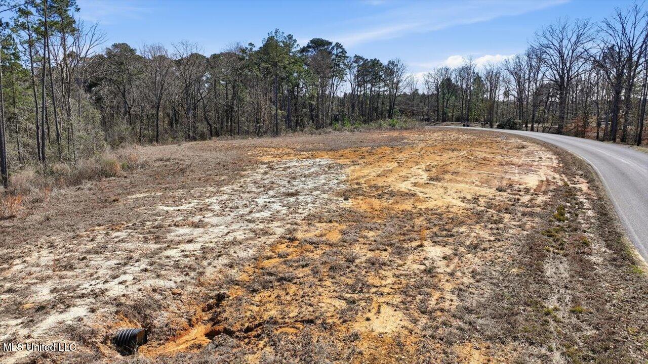 398 Wire Road Pelahatchie, MS 39145 - Photo 1 of 26 23-398 Wire Rd _ Home Tours MS