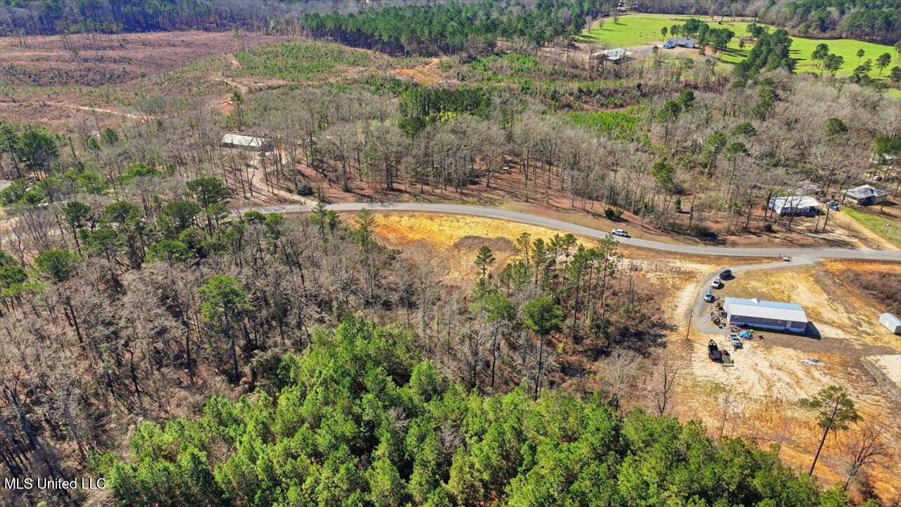 398 Wire Road Pelahatchie, MS 39145 - Photo 11 of 26 07-398 Wire Rd _ Home Tours MS