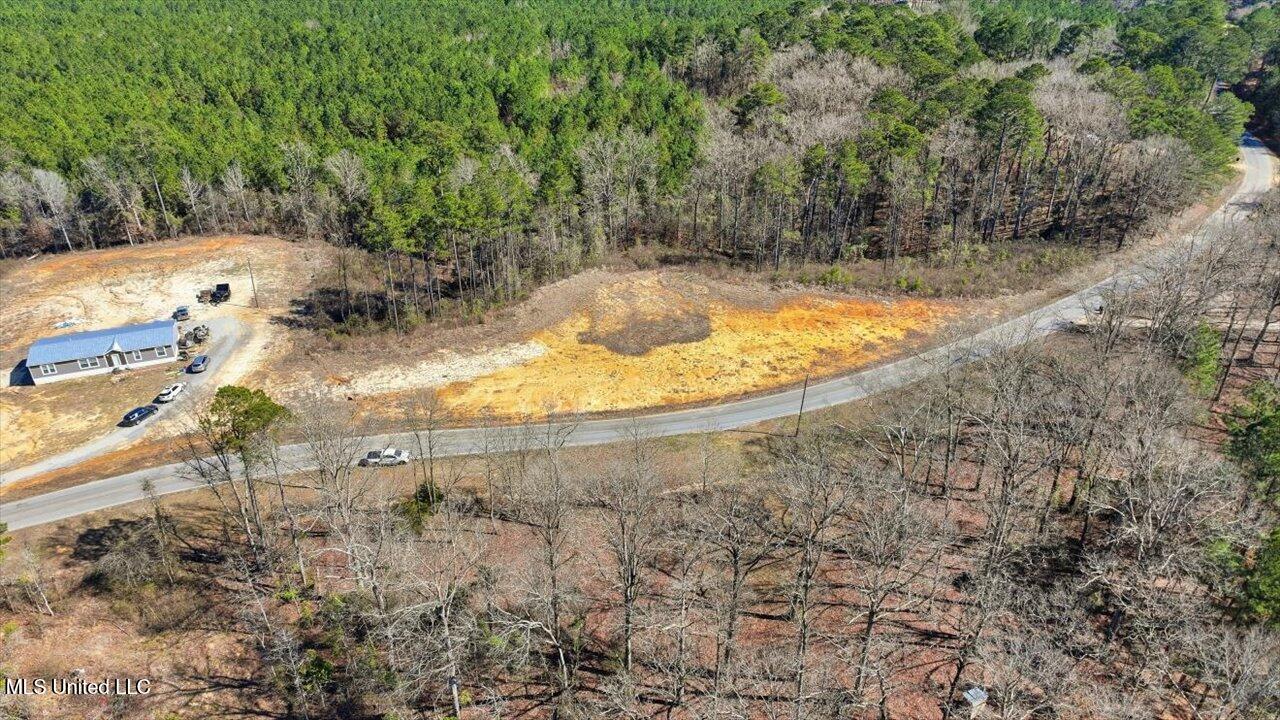 398 Wire Road Pelahatchie, MS 39145 - Photo 15 of 26 12-398 Wire Rd _ Home Tours MS