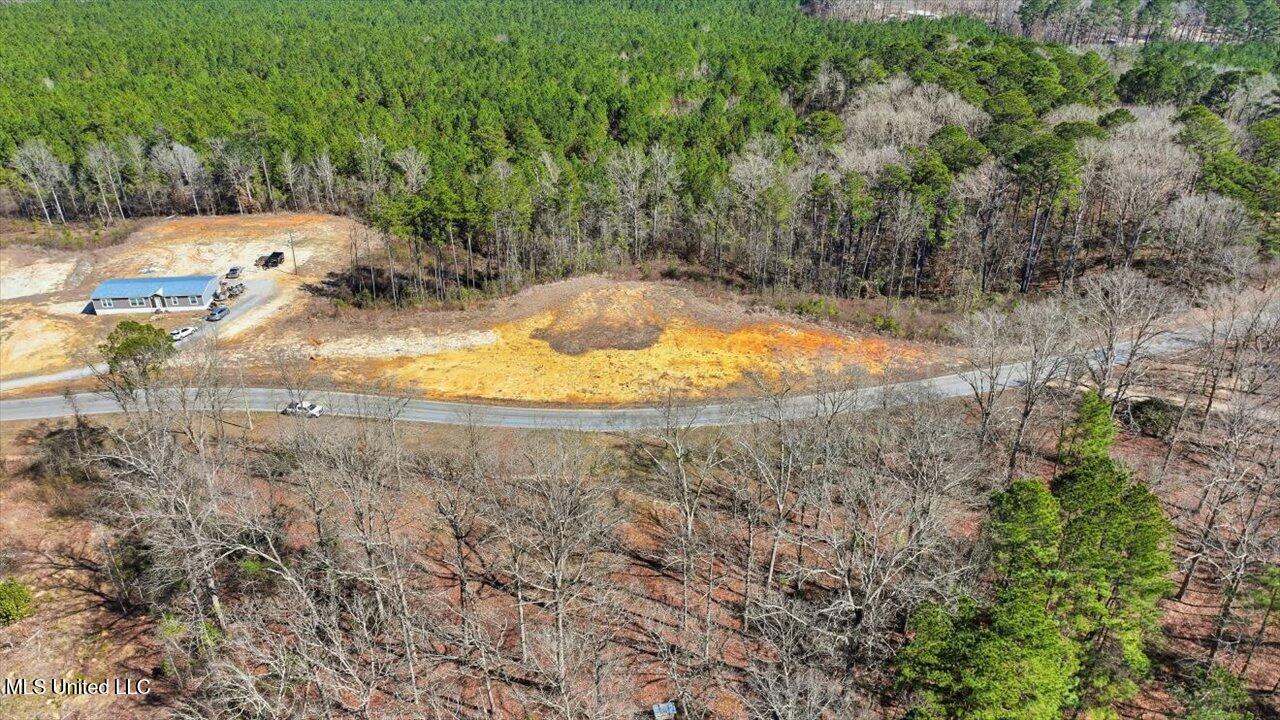 398 Wire Road Pelahatchie, MS 39145 - Photo 16 of 26 13-398 Wire Rd _ Home Tours MS