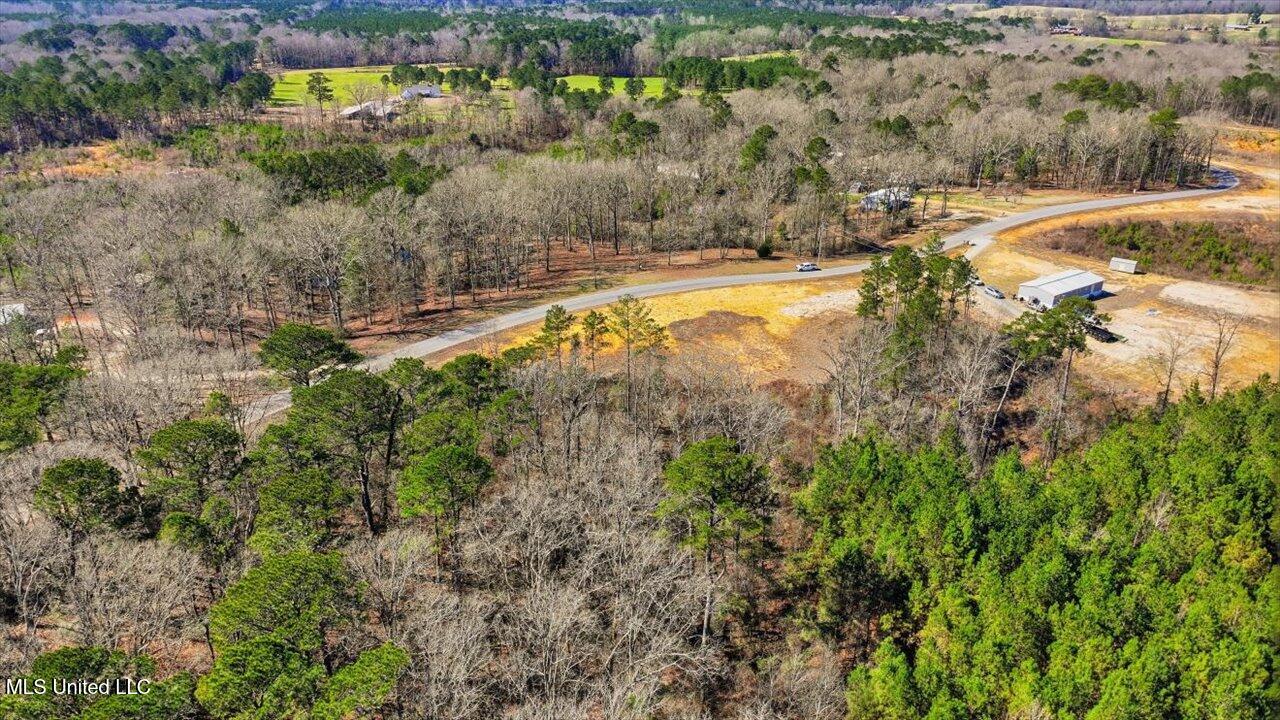 398 Wire Road Pelahatchie, MS 39145 - Photo 20 of 26 17-398 Wire Rd _ Home Tours MS