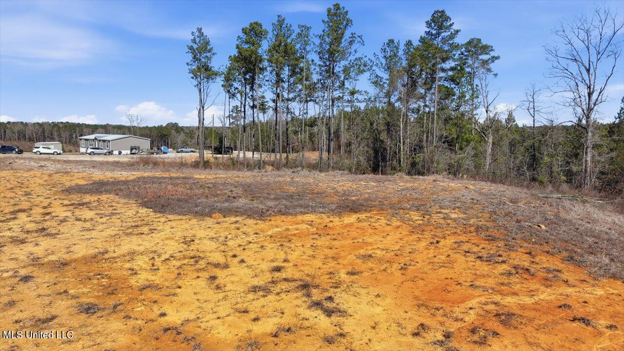 398 Wire Road Pelahatchie, MS 39145 - Photo 24 of 26 25-398 Wire Rd _ Home Tours MS
