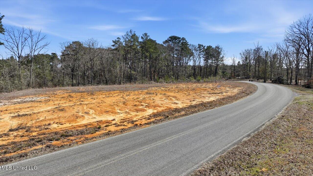 398 Wire Road Pelahatchie, MS 39145 - Photo 3 of 26 24-398 Wire Rd _ Home Tours MS