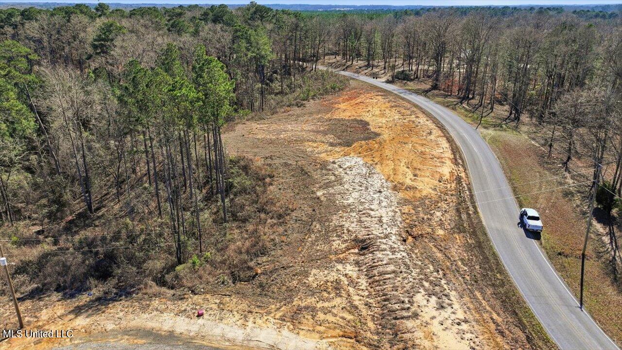 398 Wire Road Pelahatchie, MS 39145 - Photo 4 of 26 28-398 Wire Rd _ Home Tours MS