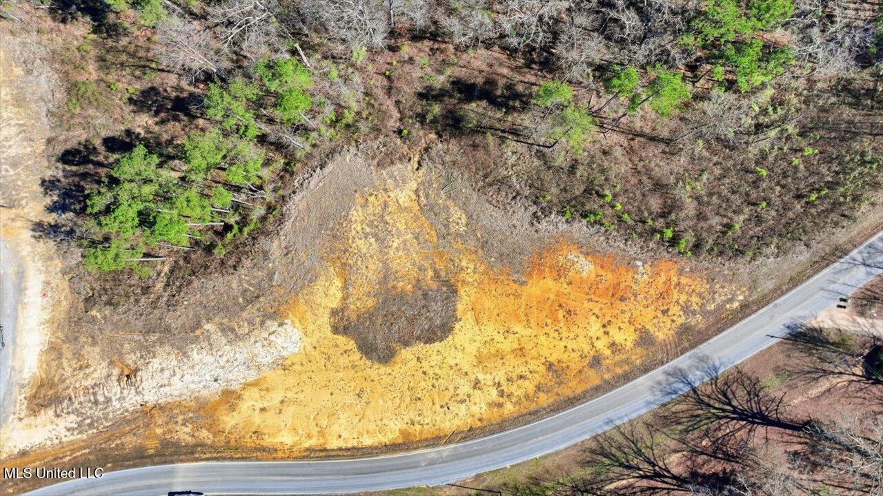 398 Wire Road Pelahatchie, MS 39145 - Photo 5 of 26 20-398 Wire Rd _ Home Tours MS