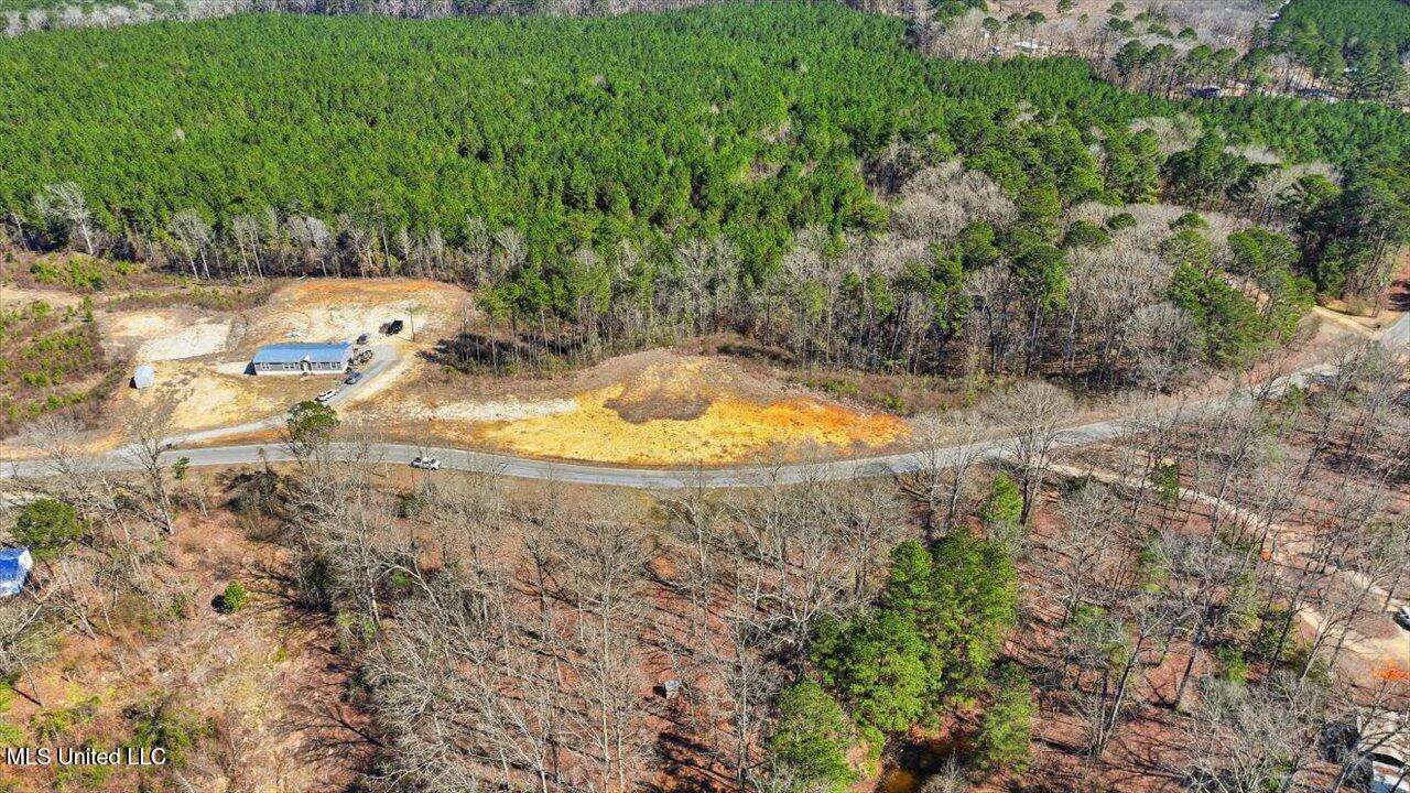 398 Wire Road Pelahatchie, MS 39145 - Photo 6 of 26 02-398 Wire Rd _ Home Tours MS