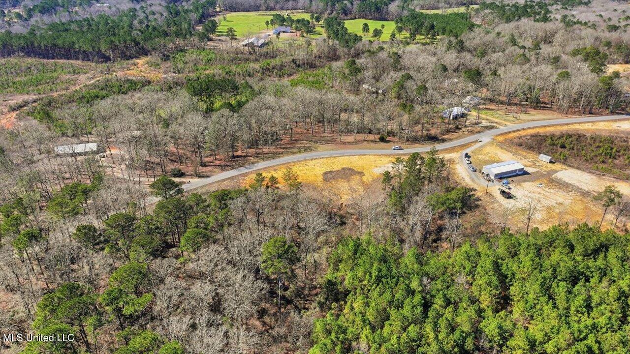 398 Wire Road Pelahatchie, MS 39145 - Photo 10 of 26 06-398 Wire Rd _ Home Tours MS