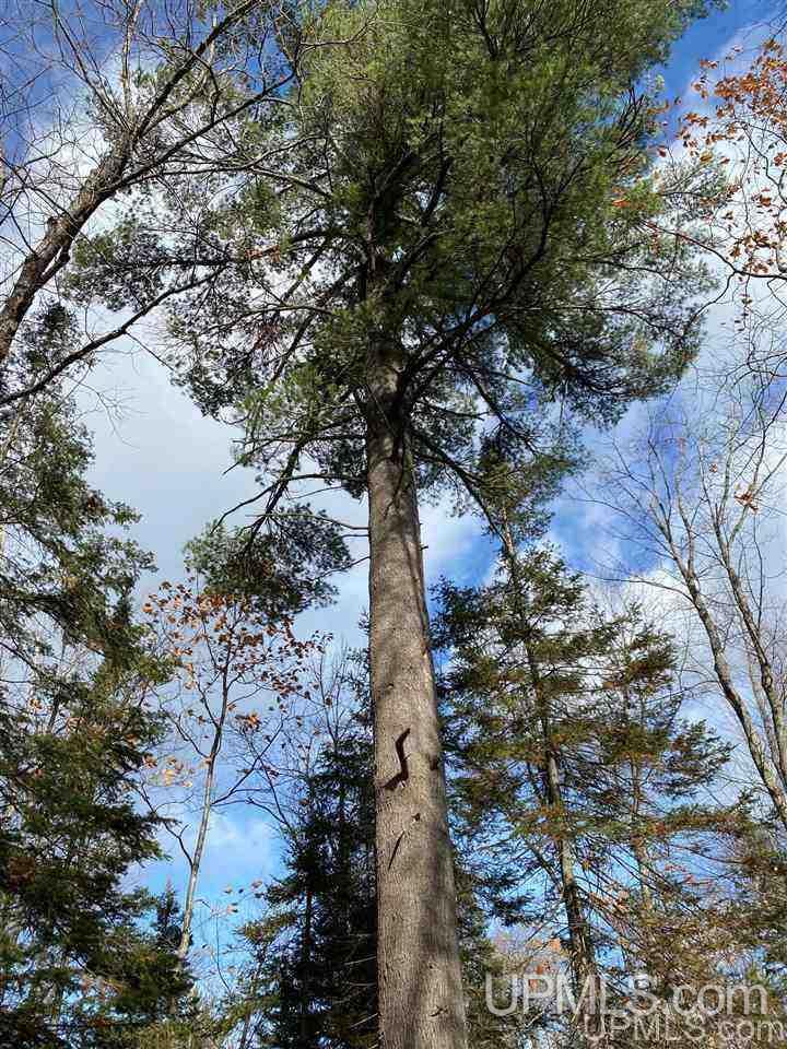 Tbd Lake Enchantment Road, Unit PARCEL 1 Marquette, MI 49855 - Photo 15 of 18