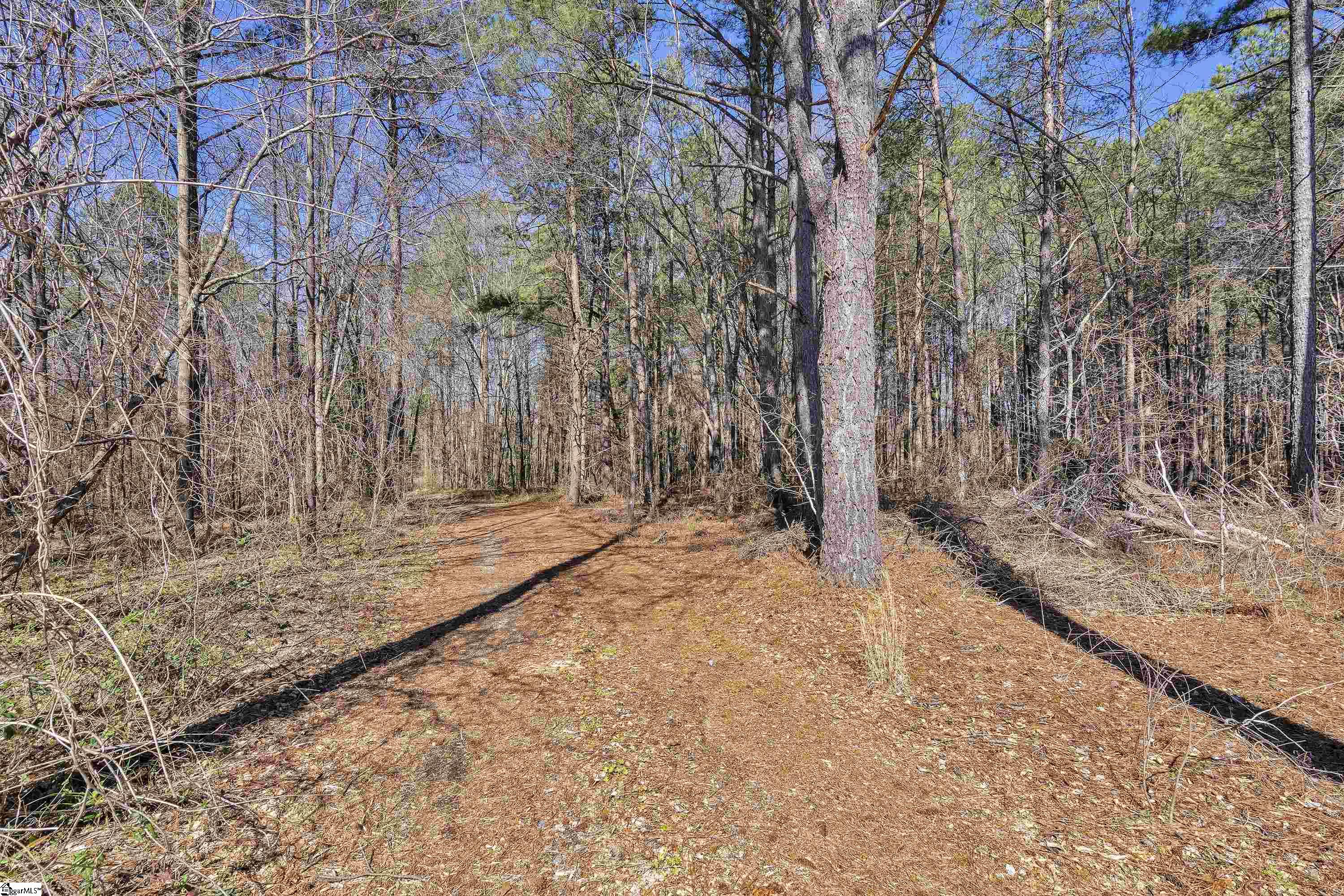 204 Pleasant Drive Greer, SC 29651 - Photo 28 of 35