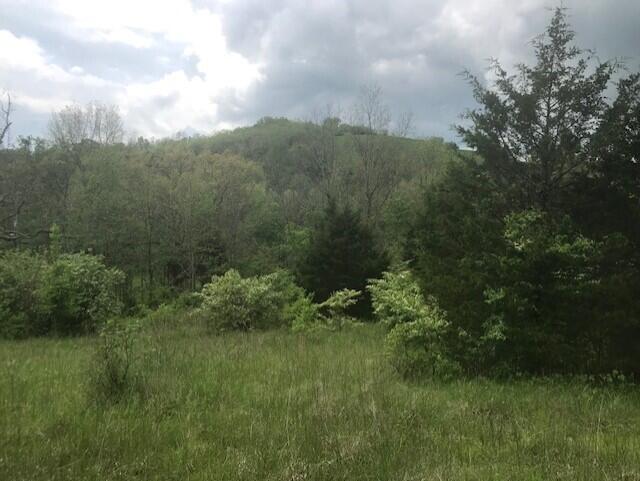 2300 Cole Road, Unit LOT 3 Winchester, KY 40391 - Photo 4 of 13 thumbnail_IMG_3265 2305 Cole Rd 7