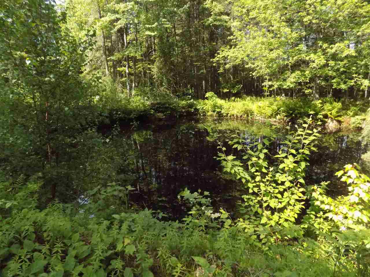 138 Boulder Road Madison, NH 03849 - Photo 13 of 13 Gallery Image 13