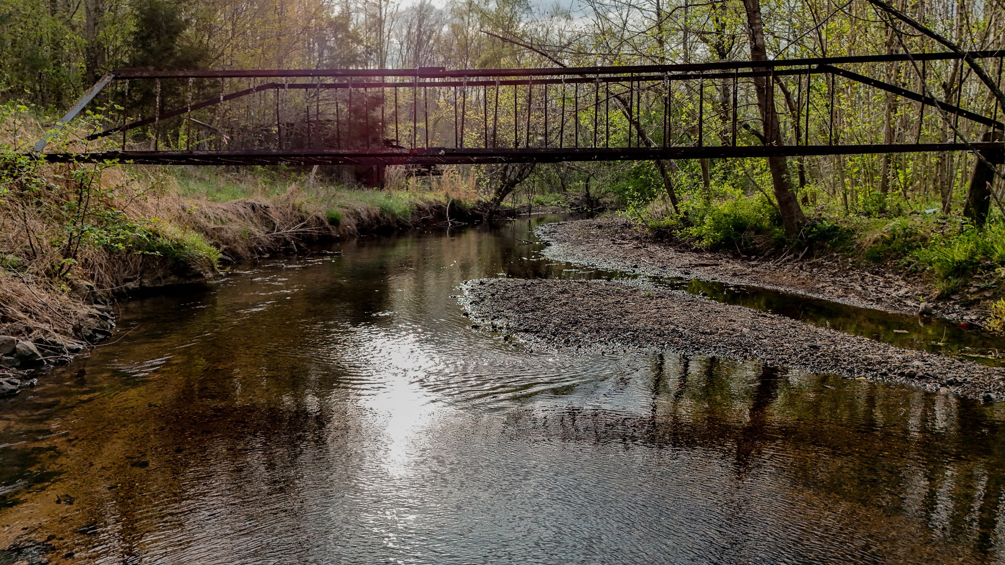 a view of river covered by trees and plants