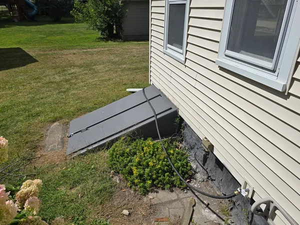 a view of a backyard with plants and a garden