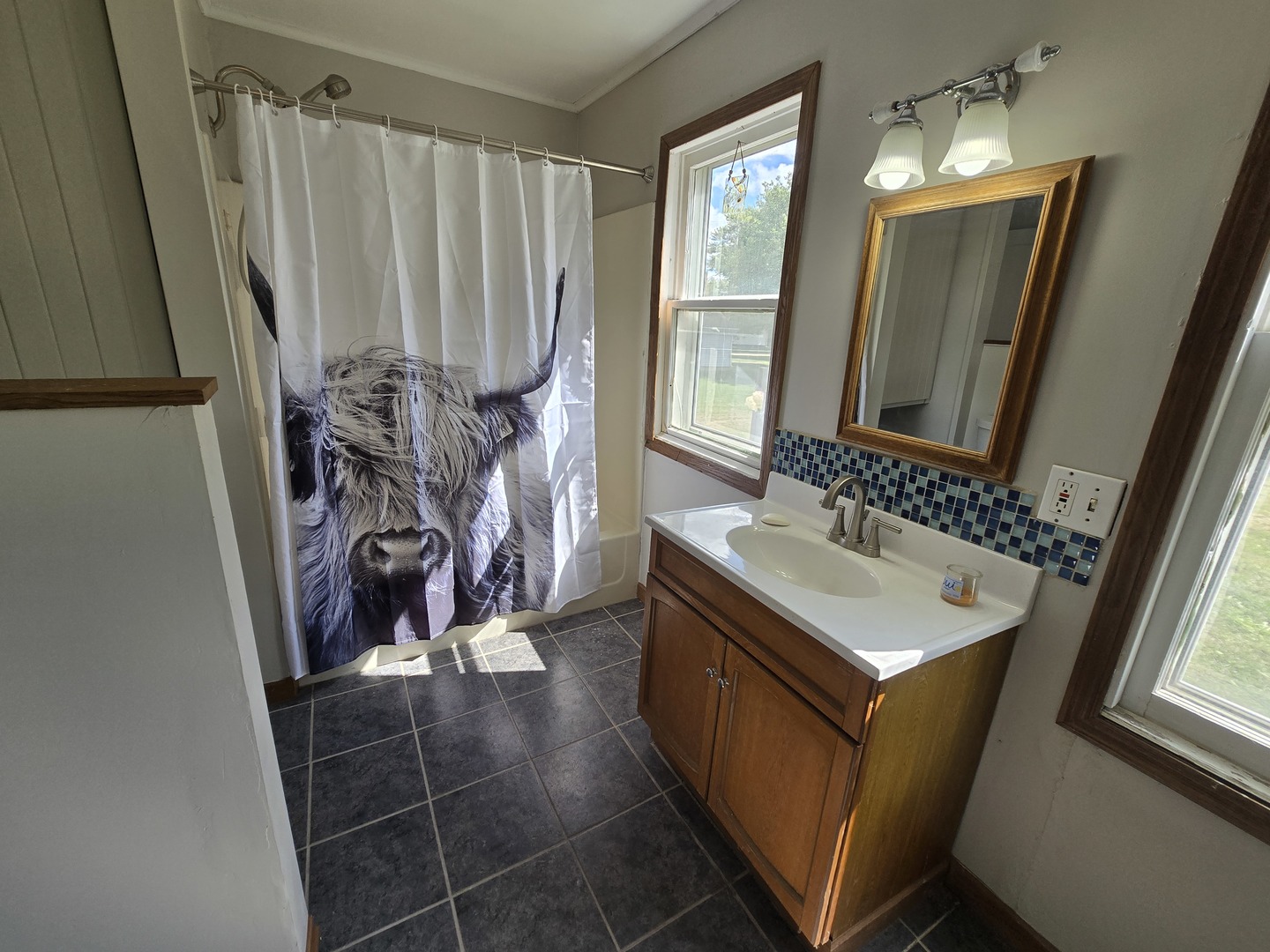 103 West Cherokee Avenue Shabbona, IL 60550 - Photo 29 of 42 a bathroom with a sink a mirror and a window