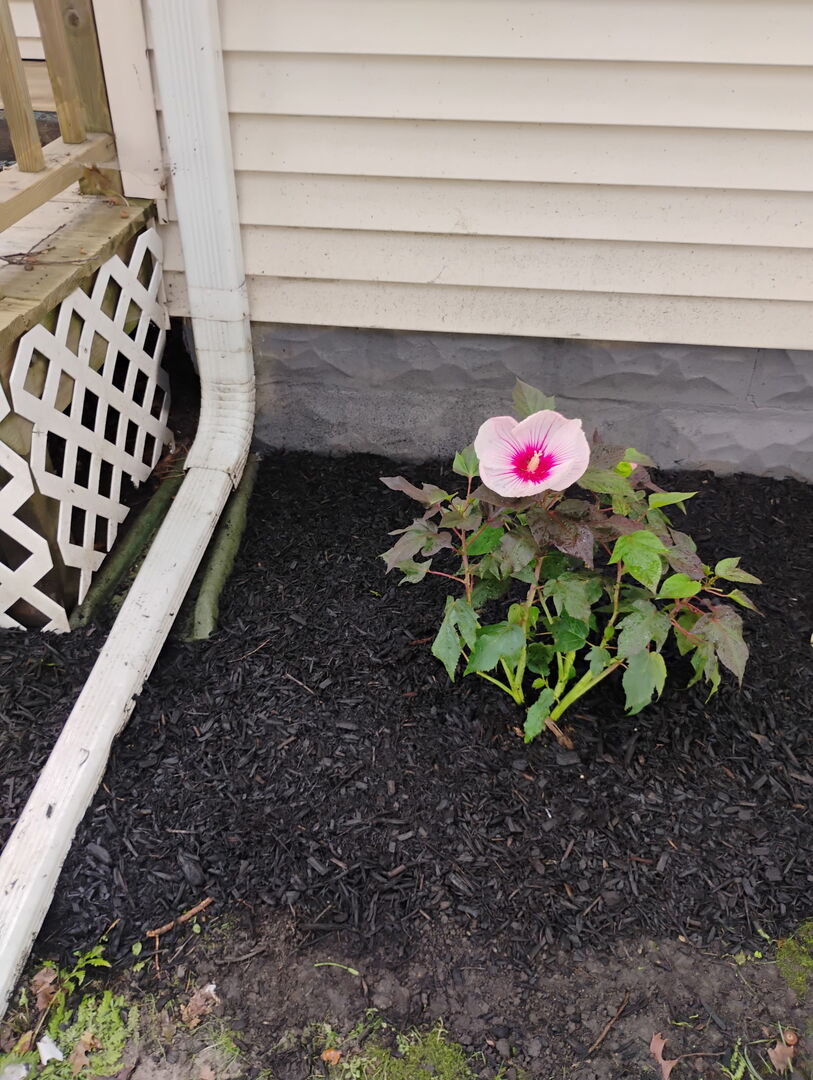 103 West Cherokee Avenue Shabbona, IL 60550 - Photo 3 of 35