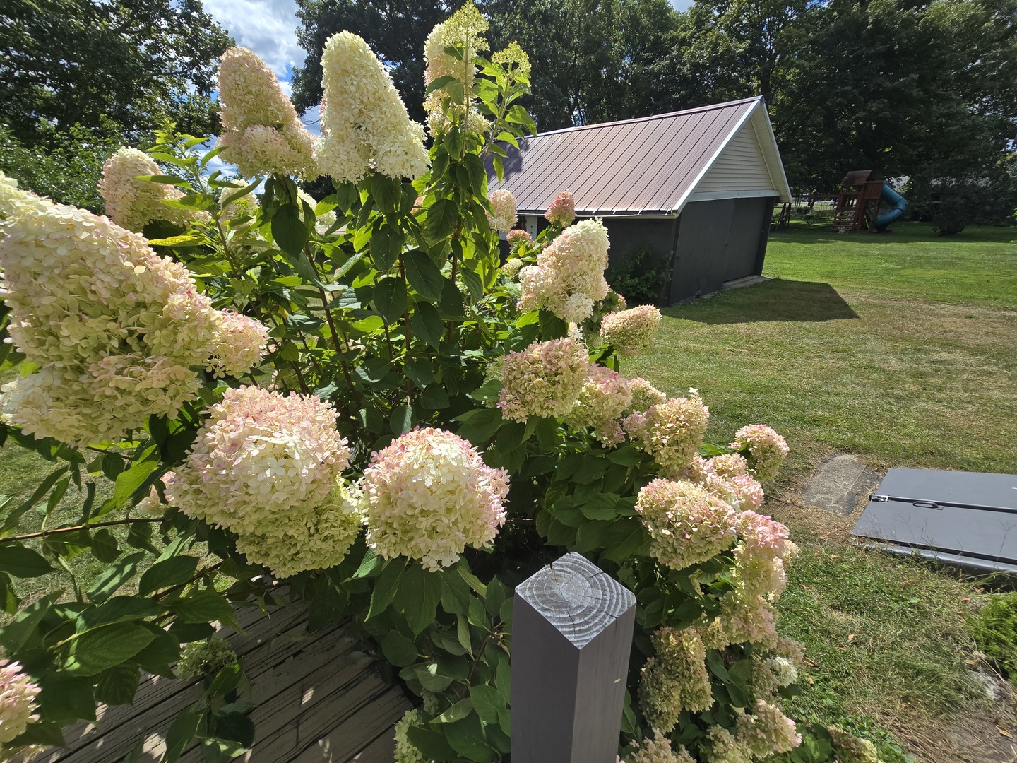 103 West Cherokee Avenue Shabbona, IL 60550 - Photo 40 of 42 a bunch of flowers in a garden