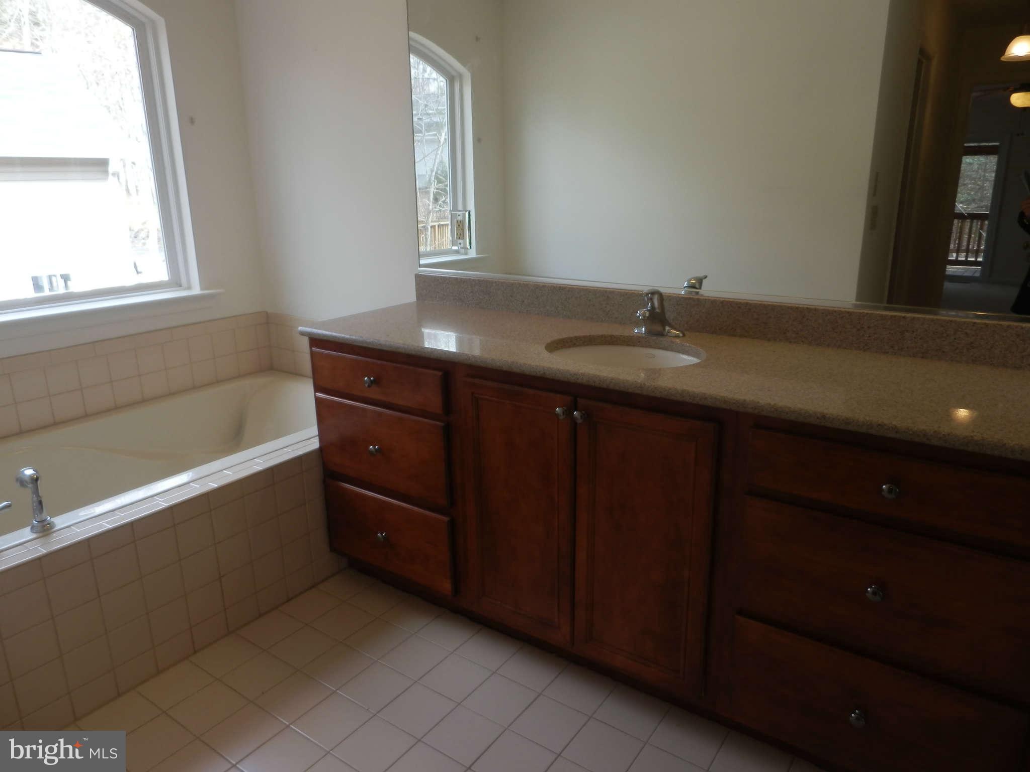 214 Battlefield Road Locust Grove, VA 22508 - Photo 9 of 13 Bath (Master)