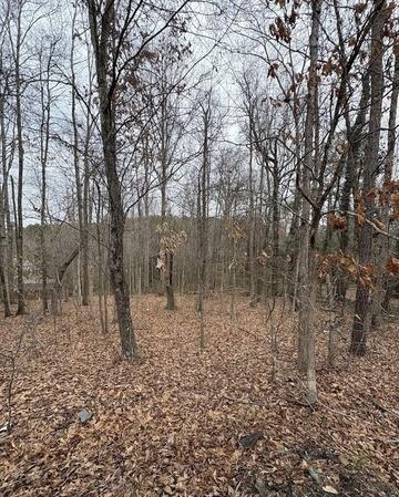 0 Polk Avenue Dallas, GA 30132 - Photo 2 of 7