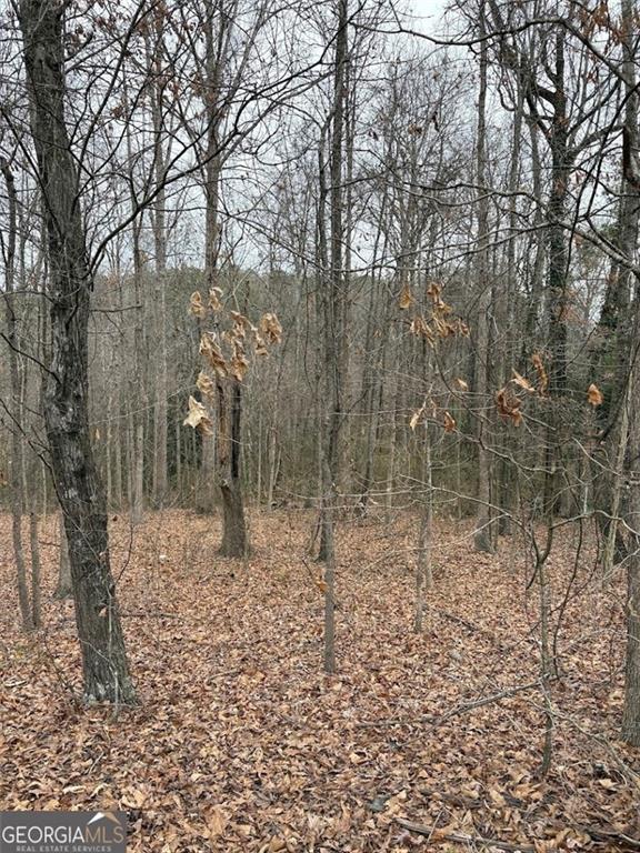 0 Polk Avenue Dallas, GA 30132 - Photo 3 of 7