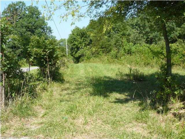 1314 Bennie Camp Road Dunlap, TN 37327 - Photo 4 of 7 Additional Photo
