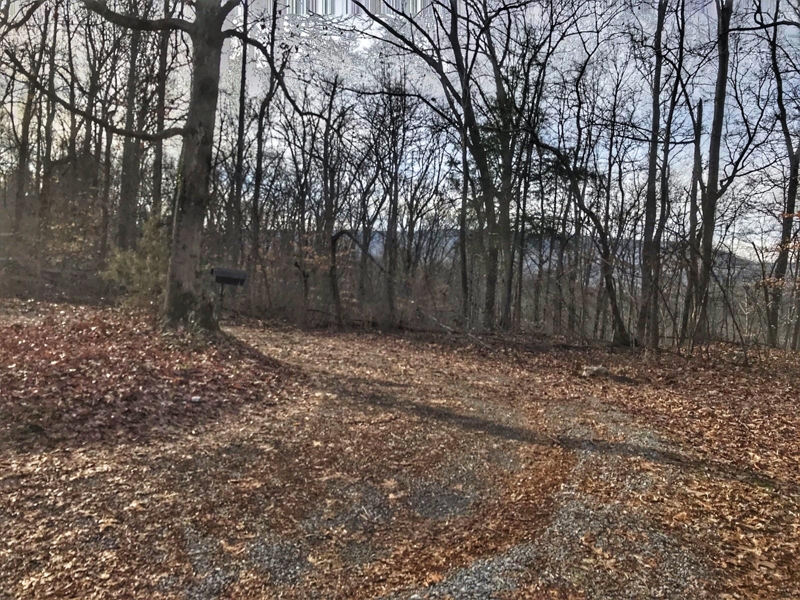 514 Riverview Drive Jasper, TN 37347 - Photo 2 of 8 RIVERVIEW 10