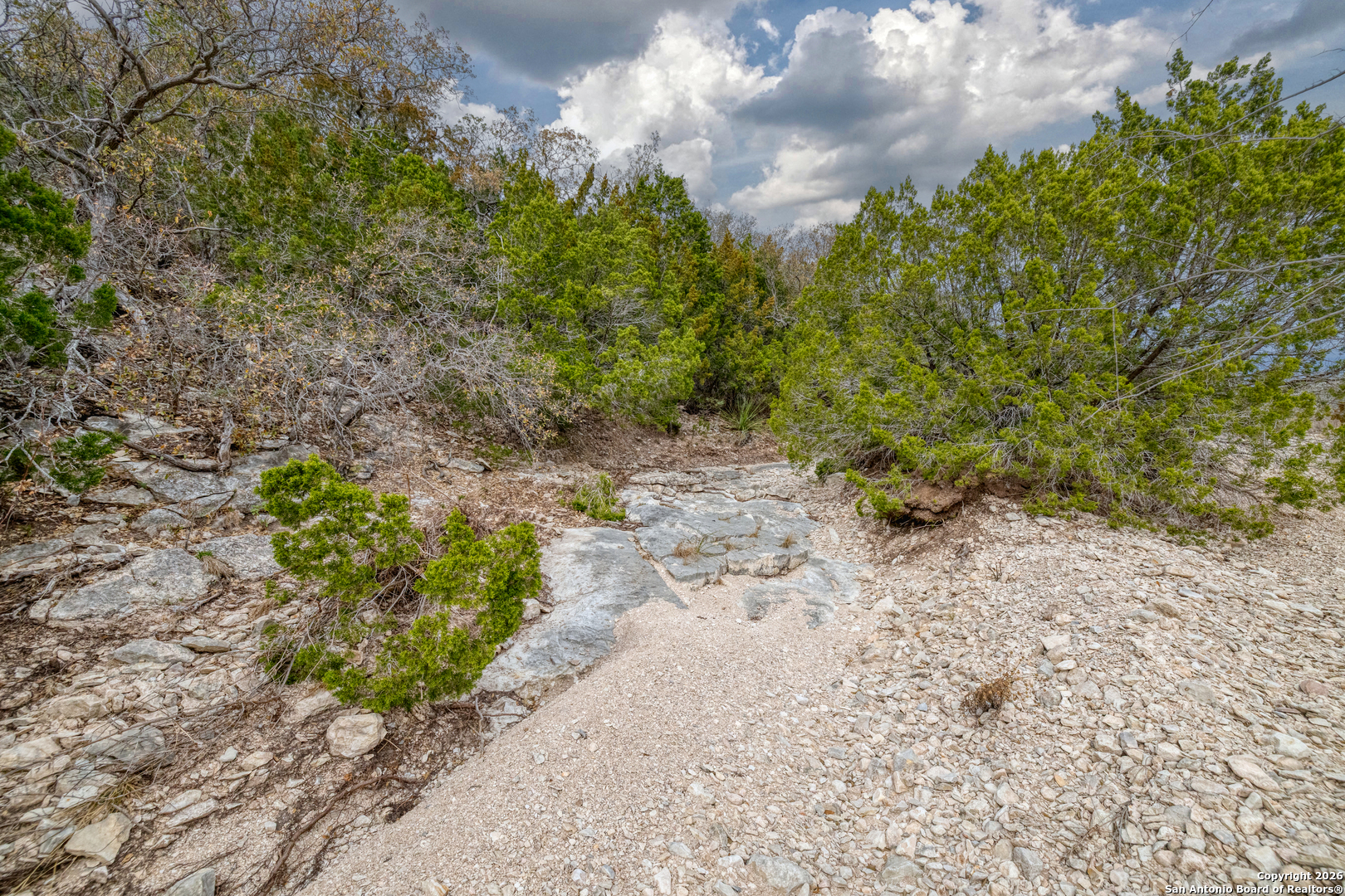 25 Sd 65065 Dusty Rose Ranch Rocksprings, TX 78880 - Photo 2 of 66