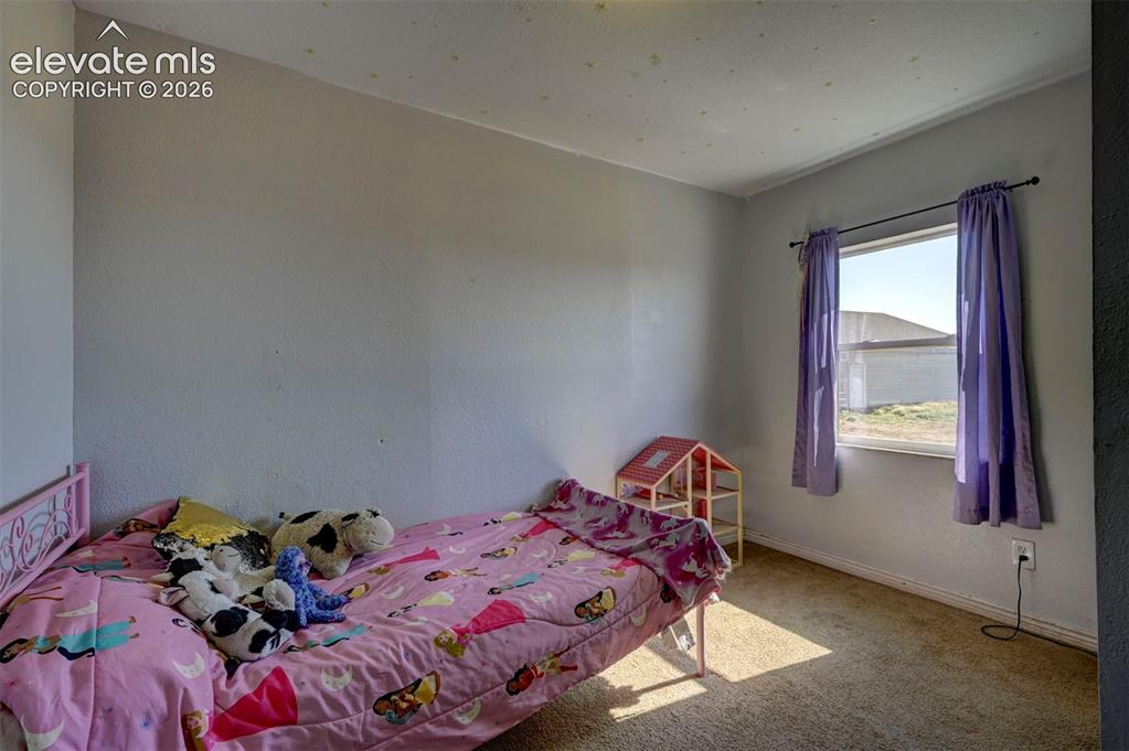 13455 Milne Road Colorado Springs, CO 80928 - Photo 28 of 34