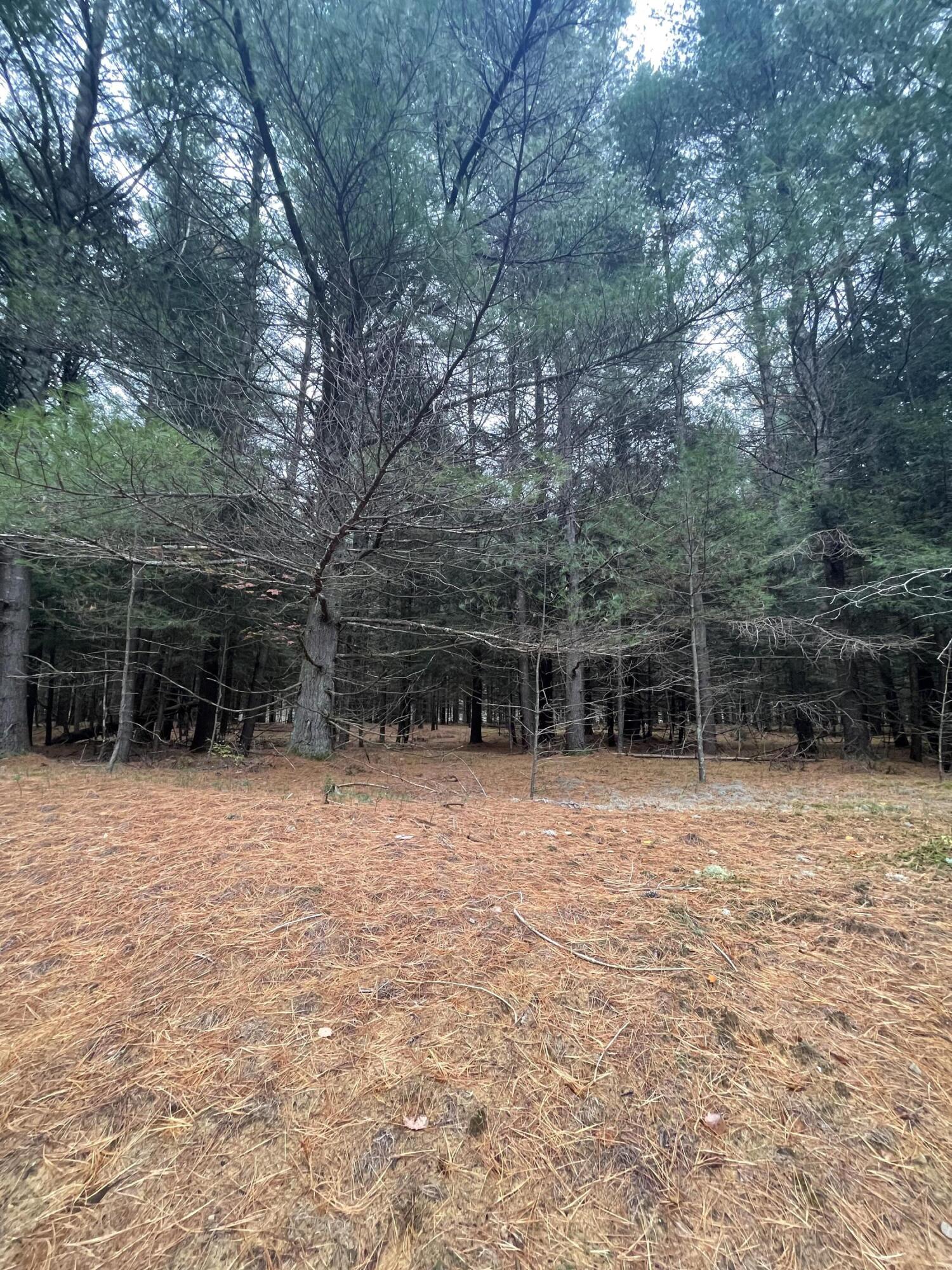 0 Reardon Road Moira, NY 12957 - Photo 9 of 18